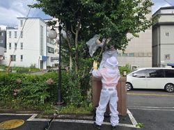 메인사진