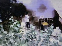 메인사진