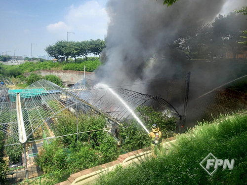 메인사진