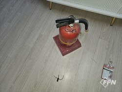 메인사진